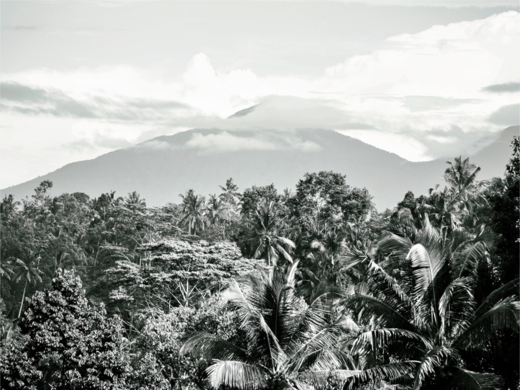 Main image Mountain at back