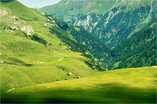 Main image "Speed" on the high alpine road