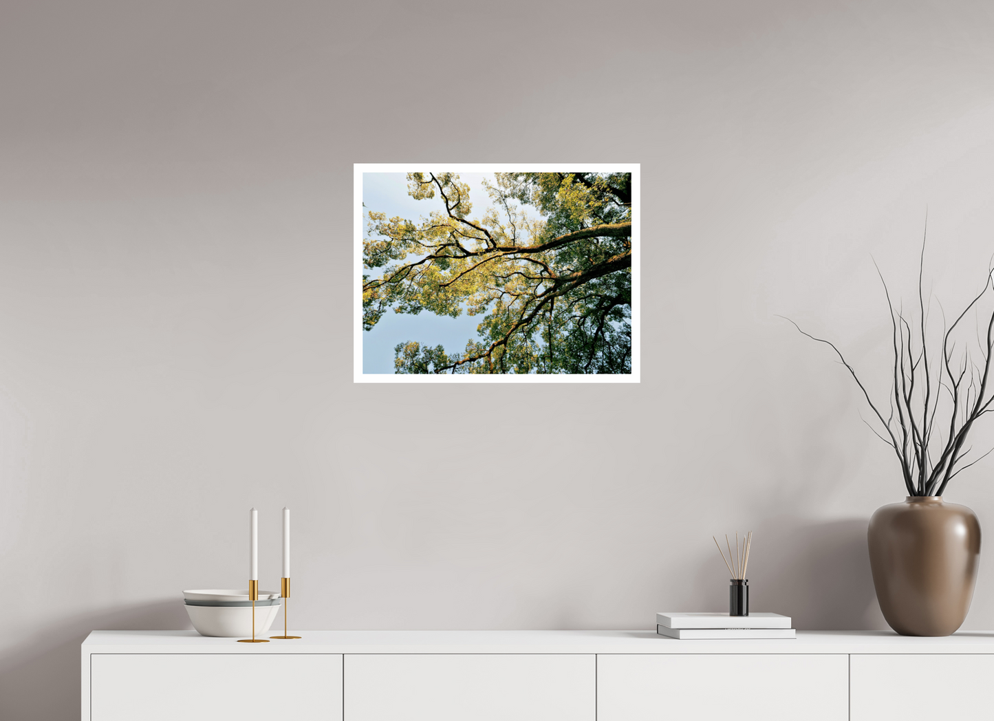 60 x 45 cm, Unframed Photo Print On Fuji Crystal DP II 2cm white border Big trees of Japan