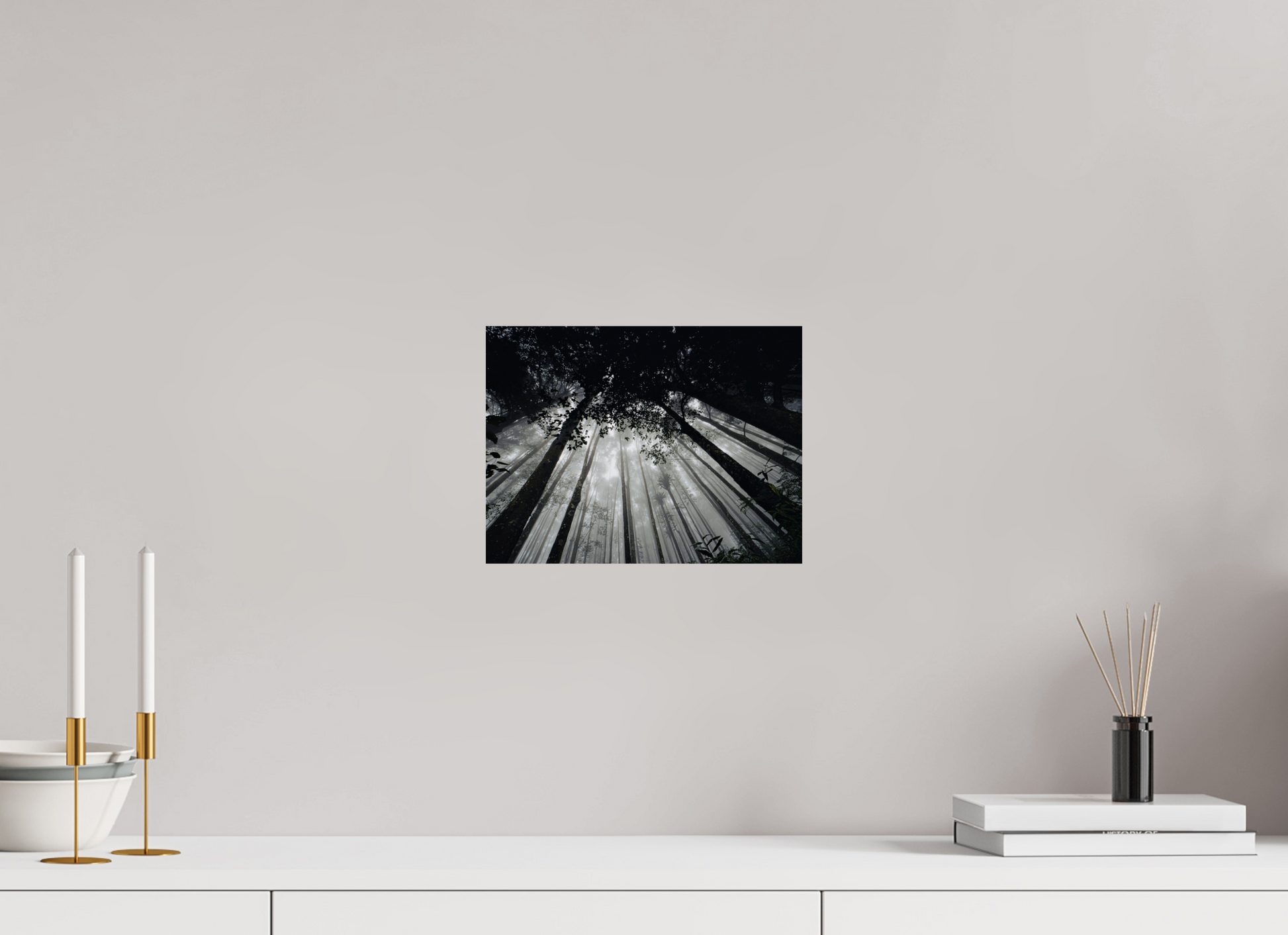 28 x 21 cm, Photo Print On Fuji Crystal DP II The morning forest