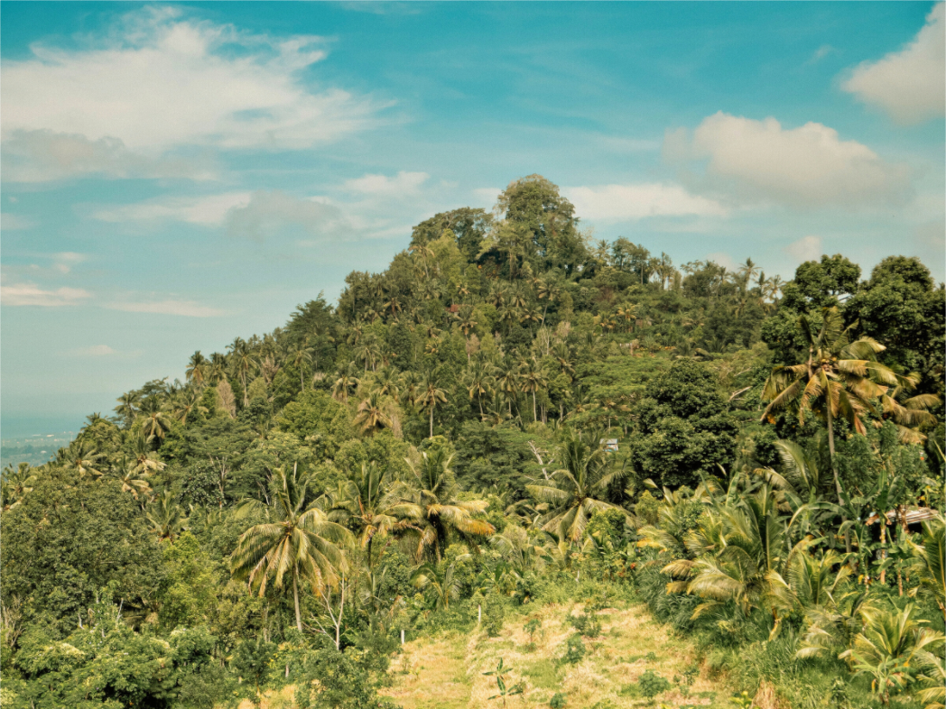 Main image Tropical Bali