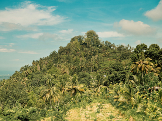 Main image Tropical Bali