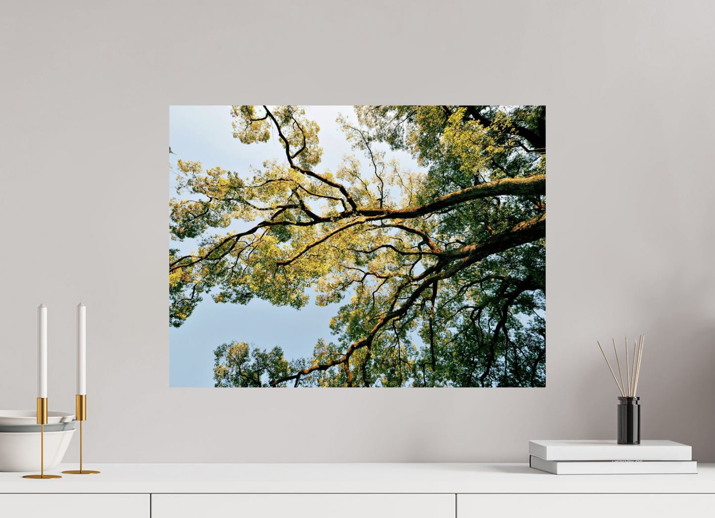 60 x 45 cm, Photo Print On Fuji Crystal DP II Big trees of Japan