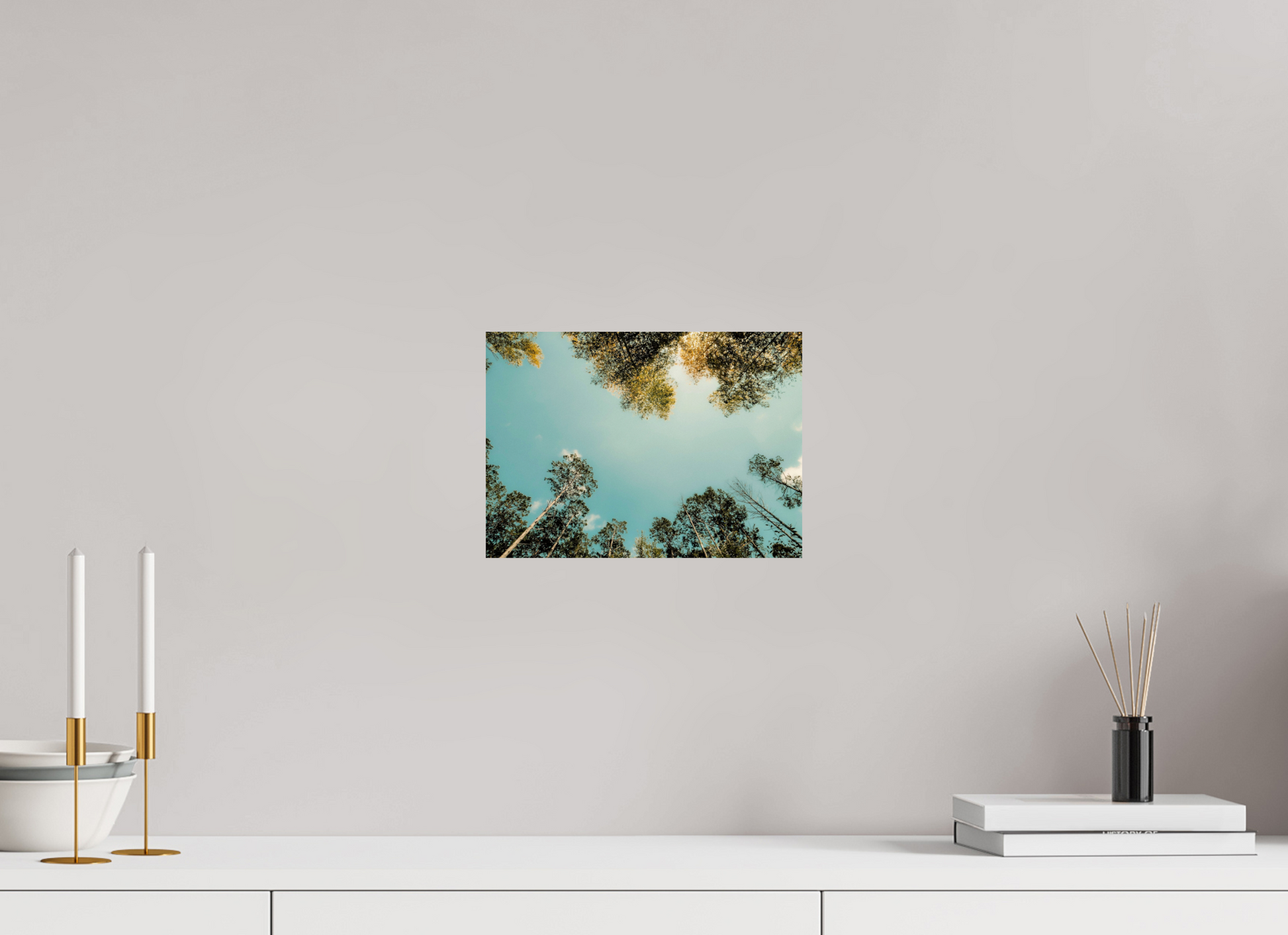 28 x 20 cm, Photo Print On Fuji Crystal DP II Reflected trees