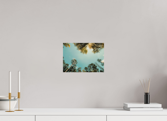 28 x 20 cm, Photo Print On Fuji Crystal DP II Reflected trees