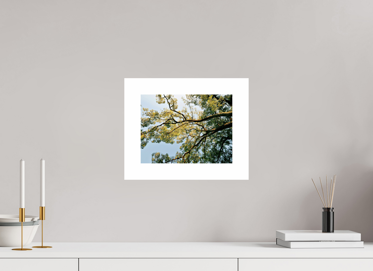 28 x 21 cm, Unframed Photo Print On Fuji Crystal DP II 5cm white border Big trees of Japan