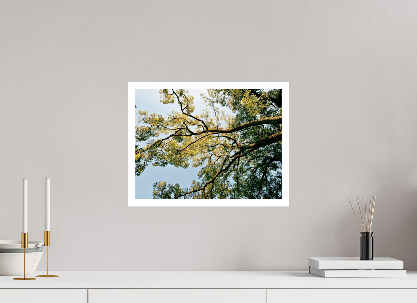 40 x 30 cm, Unframed Photo Print On Fuji Crystal DP II 2cm white border Big trees of Japan