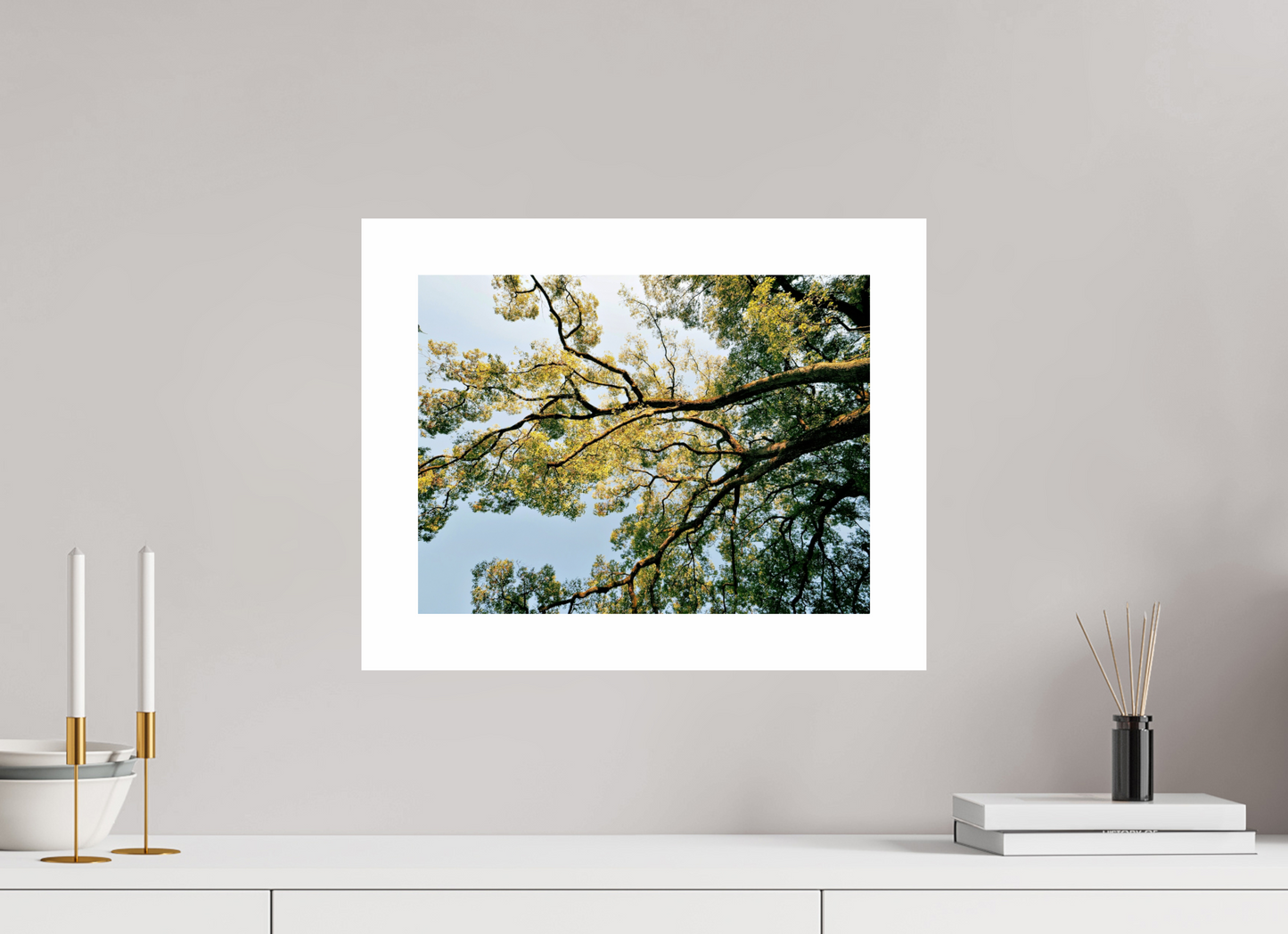 40 x 30 cm, Unframed Photo Print On Fuji Crystal DP II 5cm white border Big trees of Japan