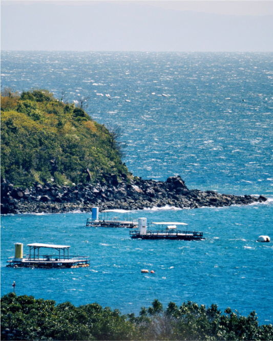 Main image Boats at shore