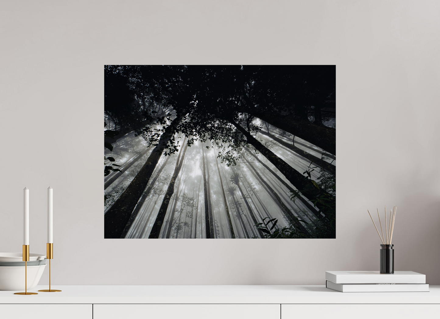 60 x 45 cm, Photo Print On Fuji Crystal DP II The morning forest