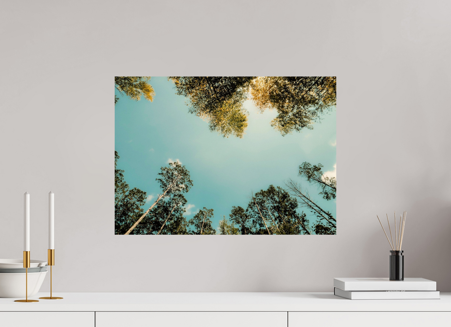 56 x 40 cm, Photo Print On Fuji Crystal DP II Reflected trees