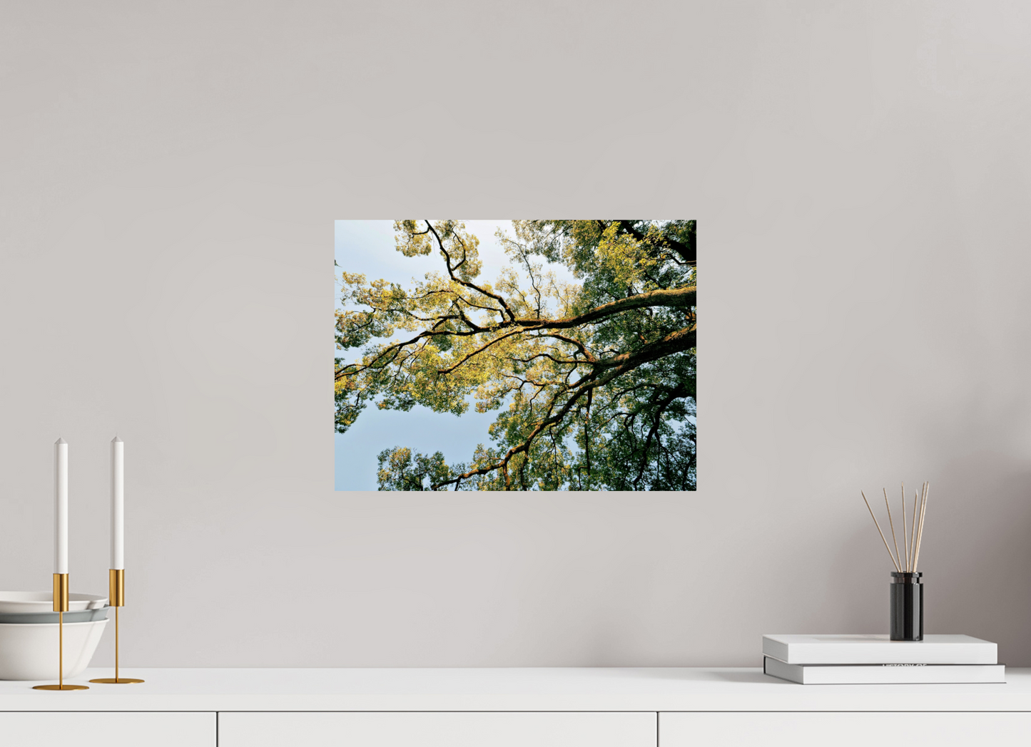 40 x 30 cm, Photo Print On Fuji Crystal DP II Big trees of Japan