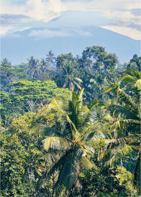 Main image Tropical mountain