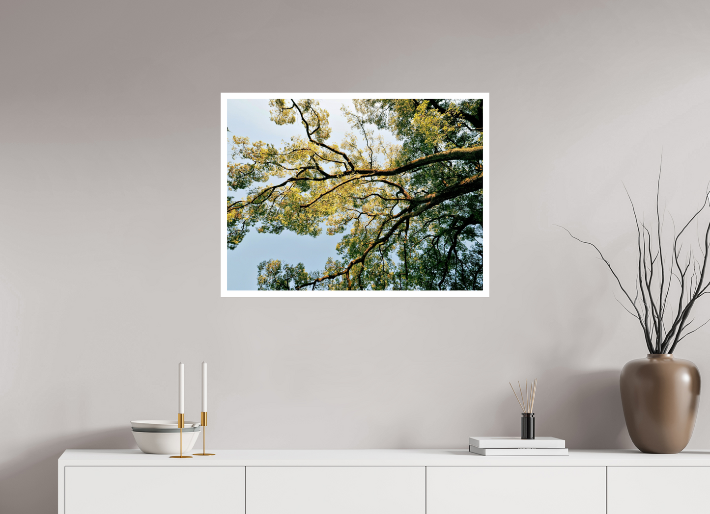 80 x 60 cm, Unframed Photo Print On Fuji Crystal DP II 2cm white border Big trees of Japan