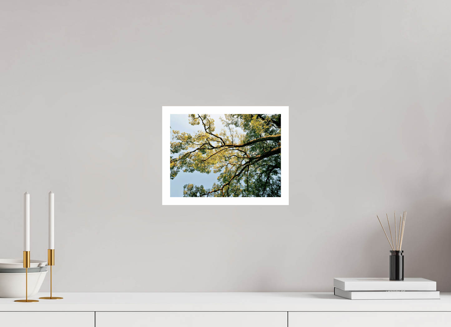 28 x 21 cm, Unframed Photo Print On Fuji Crystal DP II 2cm white border Big trees of Japan