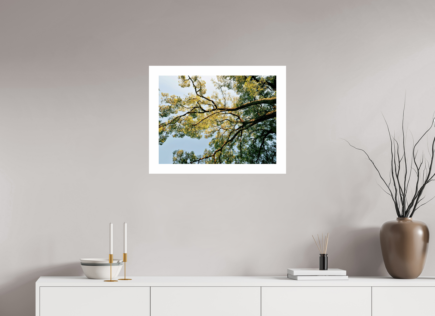 60 x 45 cm, Unframed Photo Print On Fuji Crystal DP II 5cm white border Big trees of Japan