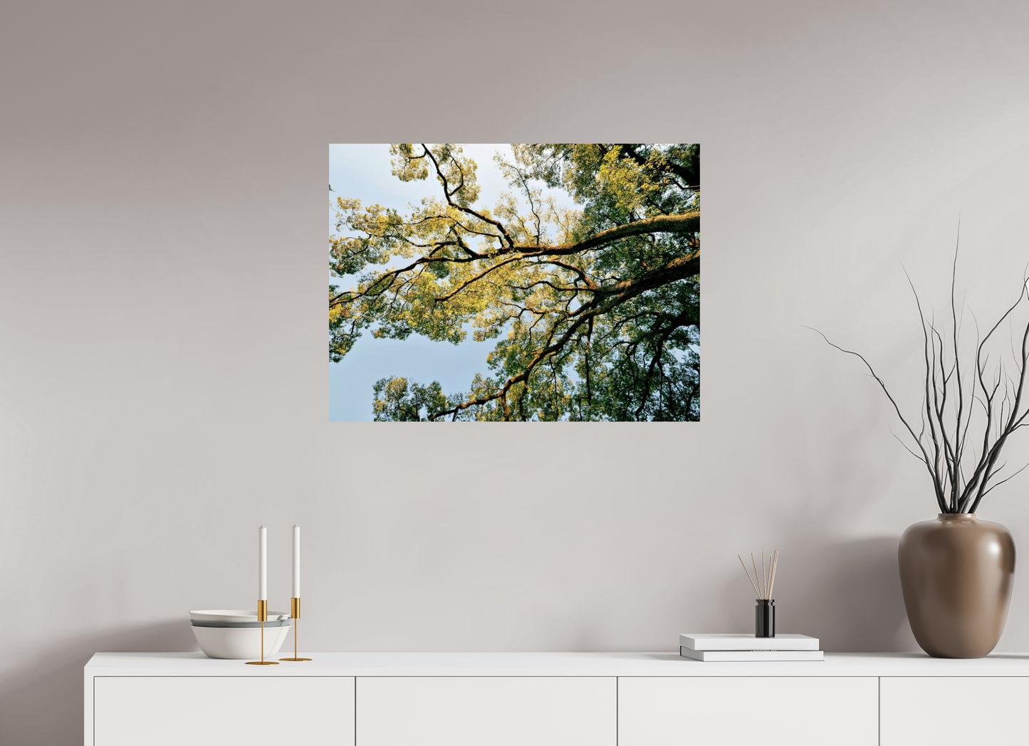 80 x 60 cm, Photo Print On Fuji Crystal DP II Big trees of Japan